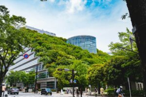 Две тысячи российских вин соберут в энотеку «Винного города» Винный город в Геленджике